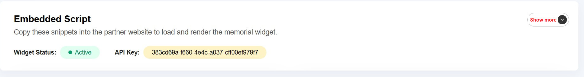Embedded Script — widget status and API key